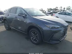 JTJGKCEZXS2063502 2025 LEXUS NX