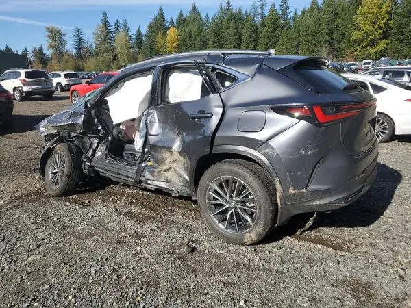JTJGKCEZXS5034970 2025 LEXUS NX - Image 2