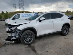 JTJGKCEZXS5036847 2025 LEXUS NX