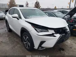 JTJHARDZ1L5003443 2020 LEXUS NX