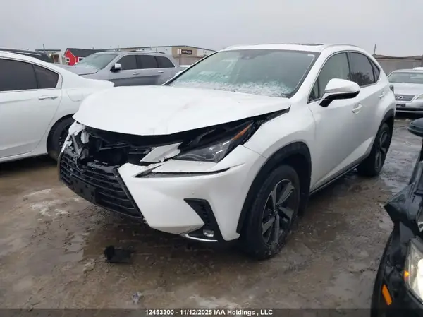 JTJHARDZ1L5003443 2020 LEXUS NX - Image 2
