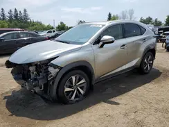 JTJHARDZ8M5028373 2021 LEXUS NX