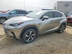 JTJHARDZ9M2238885 2021 LEXUS NX