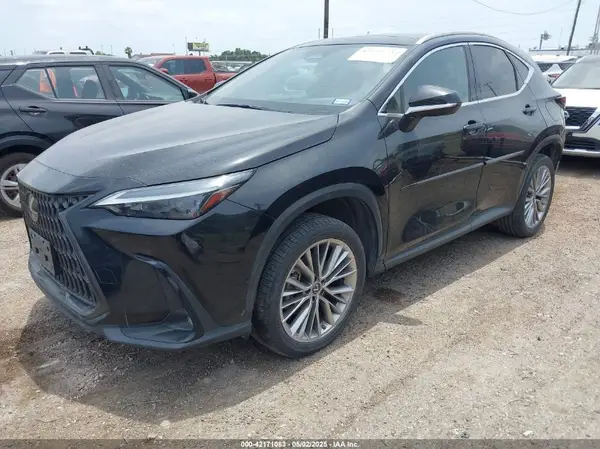 JTJHGCEZ3N5000282 2022 LEXUS NX - Image 2
