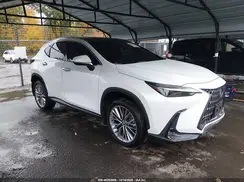 JTJHGCEZ3R5010025 2024 LEXUS NX