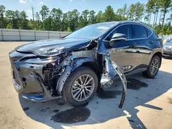 JTJHGCEZ3S2025129 2025 LEXUS NX