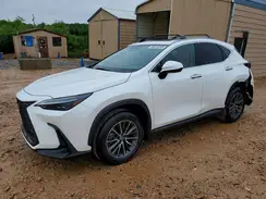 JTJHGCEZ6S2022578 2025 LEXUS NX