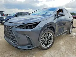 JTJHGCEZXN2002564 2022 LEXUS NX