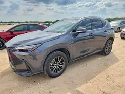 JTJHGCEZXR5009177 2024 LEXUS NX