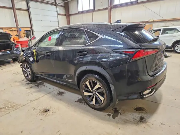 JTJHJRDZ4L2145030 2020 LEXUS NX - Image 2