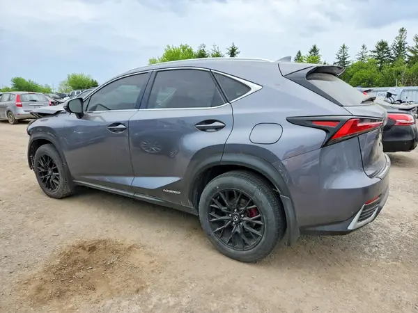 JTJHJRDZXL2137787 2020 LEXUS NX - Image 2