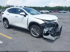 JTJHKCEZ0R2029812 2024 LEXUS NX