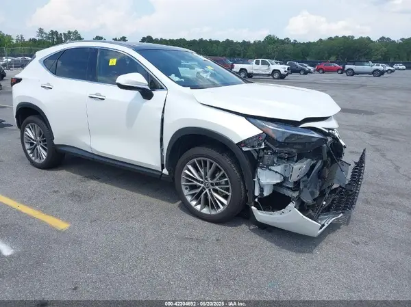JTJHKCEZ0R2029812 2024 LEXUS NX - Image 1