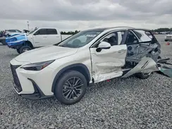 JTJHKCEZ0R2031334 2024 LEXUS NX