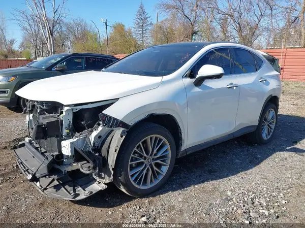 JTJHKCEZ0R2038512 2024 LEXUS NX - Image 2