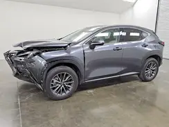 JTJHKCEZ0S2041481 2025 LEXUS NX