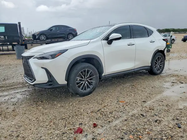 JTJHKCEZ0S2047300 2025 LEXUS NX - Image 1