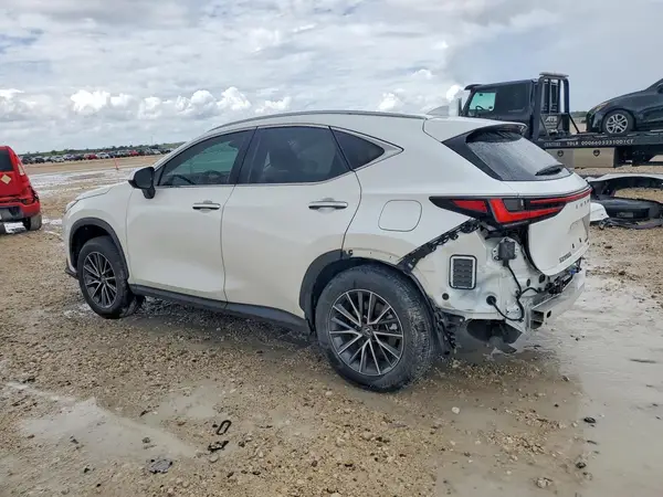 JTJHKCEZ0S2047300 2025 LEXUS NX - Image 2