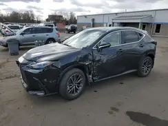 JTJHKCEZ0S2060788 2025 LEXUS NX