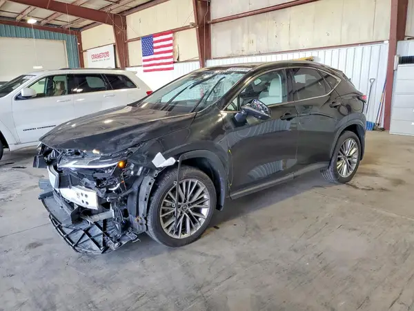 JTJHKCEZ0S2061360 2025 LEXUS NX - Image 1