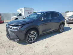 JTJHKCEZ1N2003956 2022 LEXUS NX