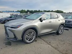 JTJHKCEZ1R2037966 2024 LEXUS NX
