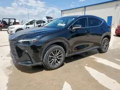 JTJHKCEZ2R2025597 2024 LEXUS NX