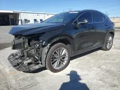 JTJHKCEZ2R5021502 2024 LEXUS NX