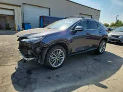 JTJHKCEZ3N2005658 2022 LEXUS NX