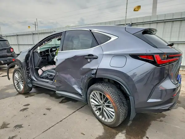 JTJHKCEZ3R2019260 2024 LEXUS NX - Image 2