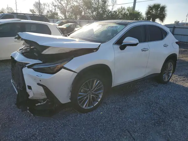 JTJHKCEZ4N5002489 2022 LEXUS NX - Image 1