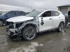 JTJHKCEZ4P5008778 2023 LEXUS NX