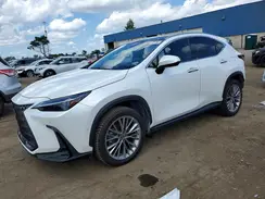 JTJHKCEZ4R2017579 2024 LEXUS NX