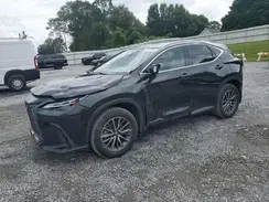 JTJHKCEZ4R2020319 2024 LEXUS NX