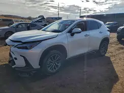 JTJHKCEZ4R2023883 2024 LEXUS NX