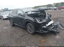 JTJHKCEZ4S2063905 2025 LEXUS NX