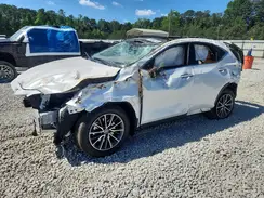 JTJHKCEZ4S2066545 2025 LEXUS NX