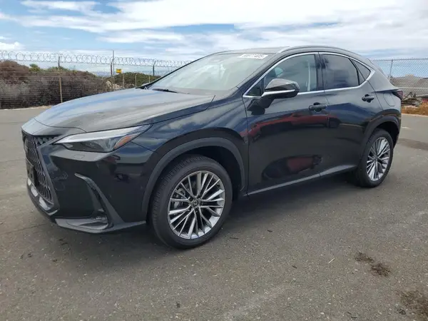JTJHKCEZ4S5037531 2025 LEXUS NX - Image 1
