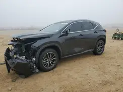 JTJHKCEZ5R2026405 2024 LEXUS NX