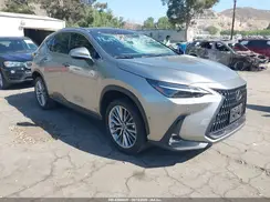 JTJHKCEZ5R5014365 2024 LEXUS NX