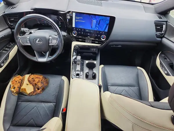 JTJHKCEZ6N2003824 2022 LEXUS NX - Image 8