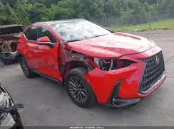 JTJHKCEZ6R2022413 2024 LEXUS NX