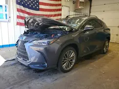 JTJHKCEZ6S2066854 2025 LEXUS NX