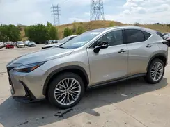 JTJHKCEZ7R2023649 2024 LEXUS NX