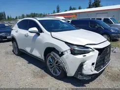 JTJHKCEZ7R5012066 2024 LEXUS NX