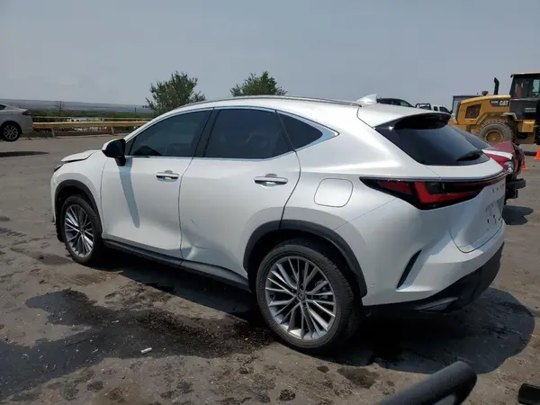 JTJHKCEZ7R5021558 2024 LEXUS NX - Image 2