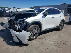 JTJHKCEZ8R2019027 2024 LEXUS NX