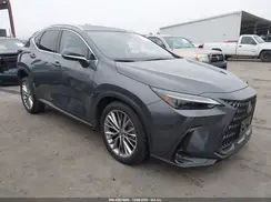 JTJHKCEZ8R2030710 2024 LEXUS NX
