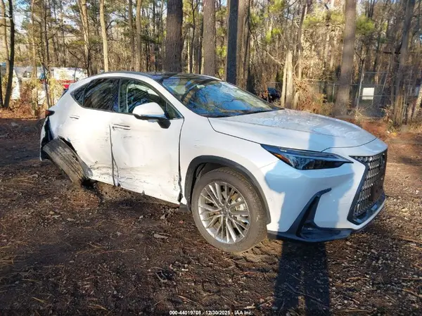 JTJHKCEZ9R2039478 2024 LEXUS NX - Image 1
