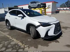 JTJHKCEZXR2019269 2024 LEXUS NX